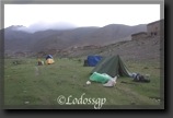LGP_4018